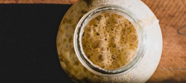 啤酒酵母发酵需要氧气和温度的控制