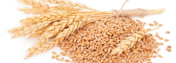 制麦的原理与过程